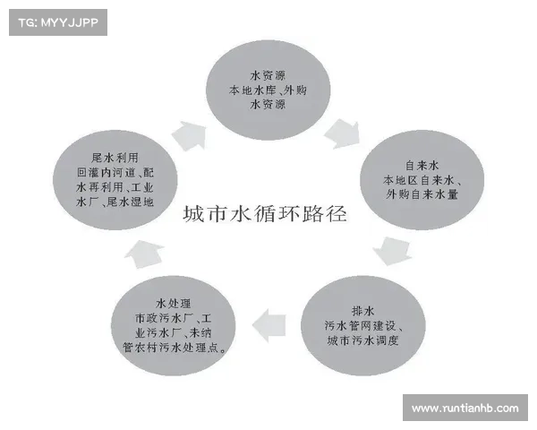石中盐提取技术的探索与实践：推动创新与可持续发展的新路径