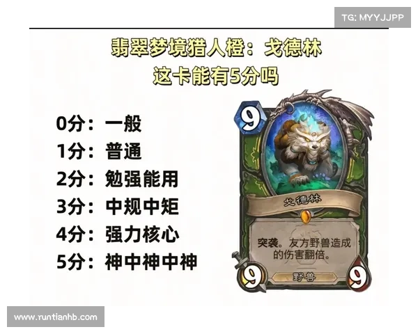 炉石传说实用卡牌组合推荐与策略解析助你快速提升排名