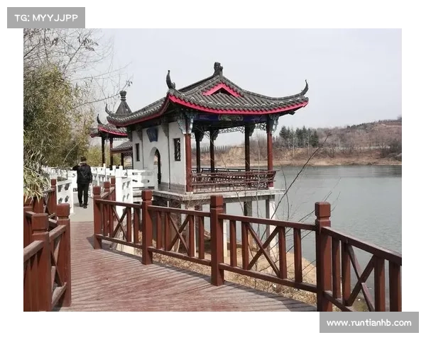 全方位梳理2023年下庙澳洲杯赛事日程时间信息全景指南详解