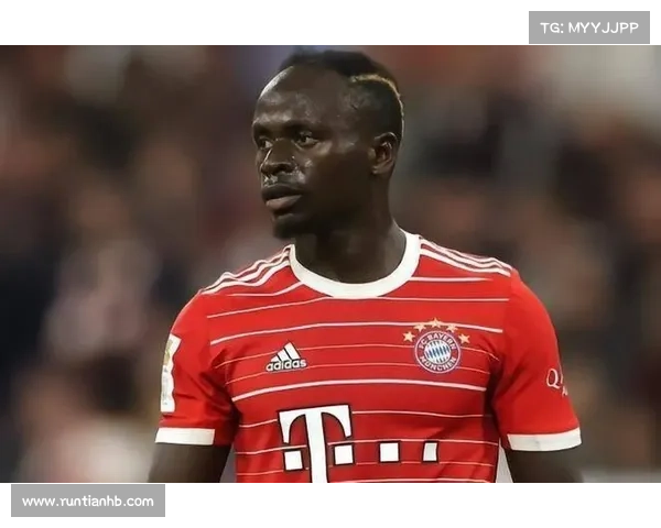 拜仁马内回归前必须关注的五大关键要点全面解析